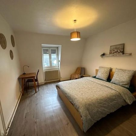 Beau F3 - Proche Gare Apartment Mulhouse Ngoại thất bức ảnh