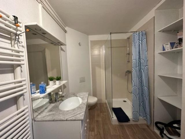 Beau F3 - Proche Gare Apartment Mulhouse Ngoại thất bức ảnh