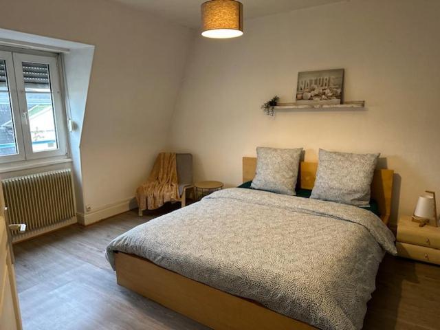 Beau F3 - Proche Gare Apartment Mulhouse Ngoại thất bức ảnh