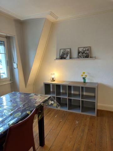Beau F3 - Proche Gare Apartment Mulhouse Ngoại thất bức ảnh